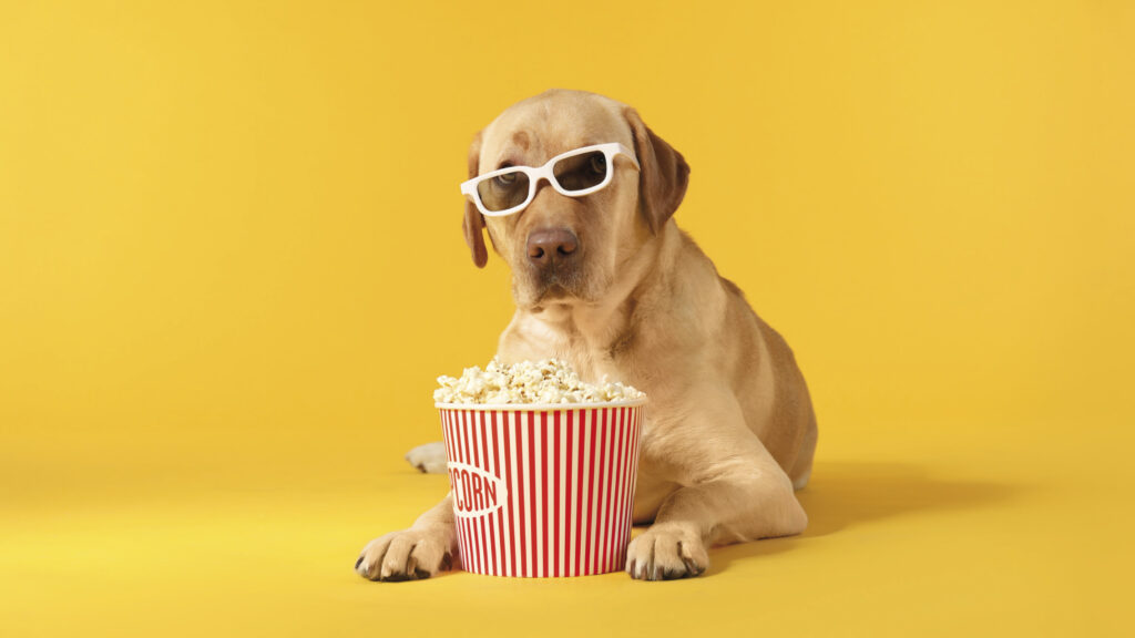 Pas za potrebe kampanje za Happy Puppy TV